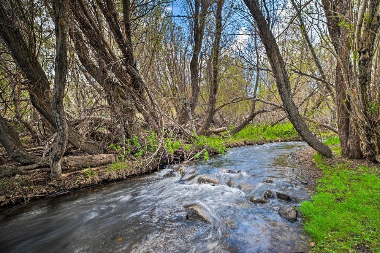 Mammoth Lakes Nature Escape Hot Tub Access! 外观 照片